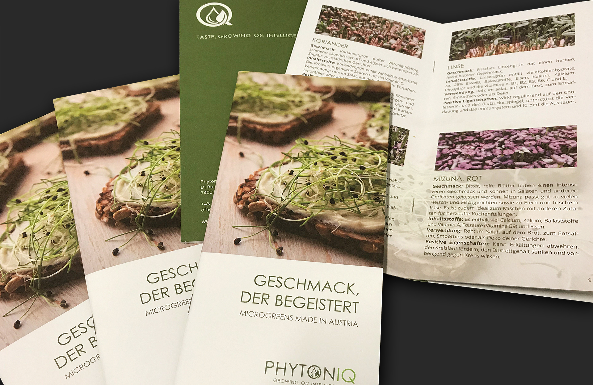 Werbeagentur Wien ideas4you Folder Phytoniq