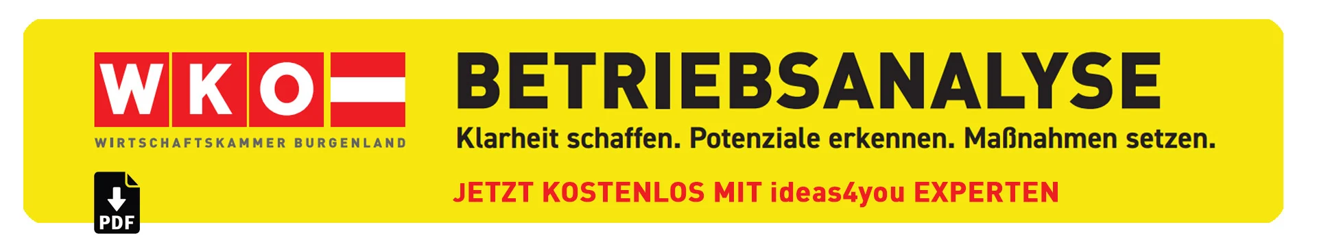 Werbeagentur Burgenland Wien ideas4you - Förderrichtlinie Betriebsanalyse